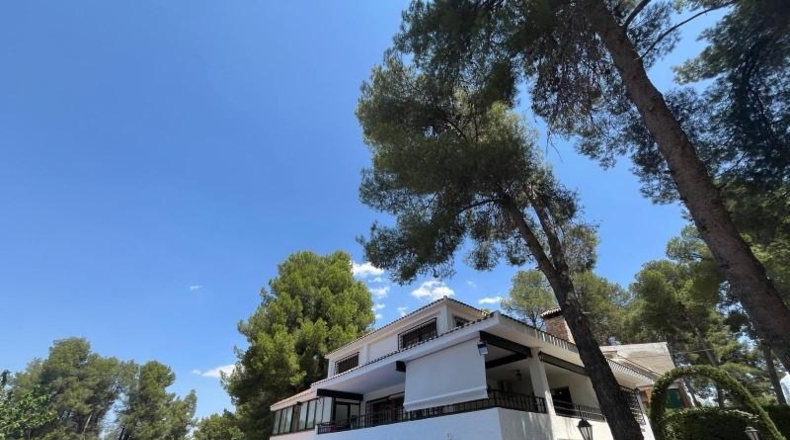 Albacete - Almansa - 500m2