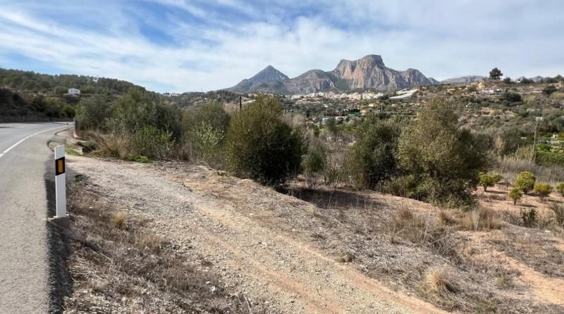 Alicante - la Nucia - 37000m2