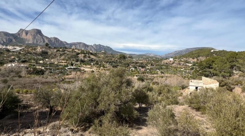 Alicante - la Nucia - 37000m2