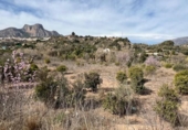 Casa amb terreny en venda a la España, la Nucia, ref.: TR295975 foto