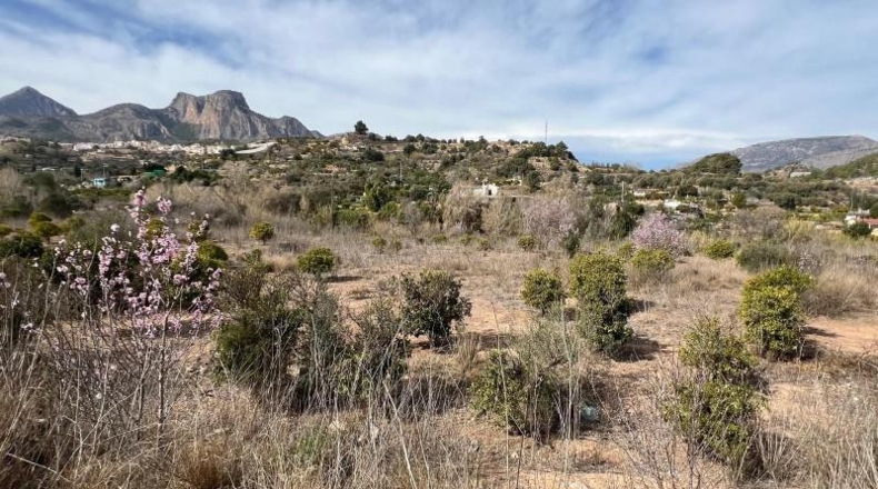 Alicante - la Nucia - 37000m2