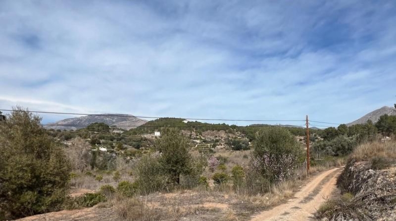 Alicante - la Nucia - 37000m2