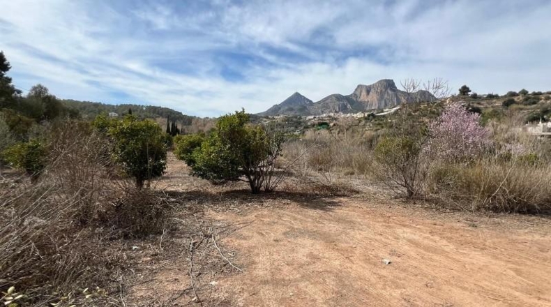 Alicante - la Nucia - 37000m2