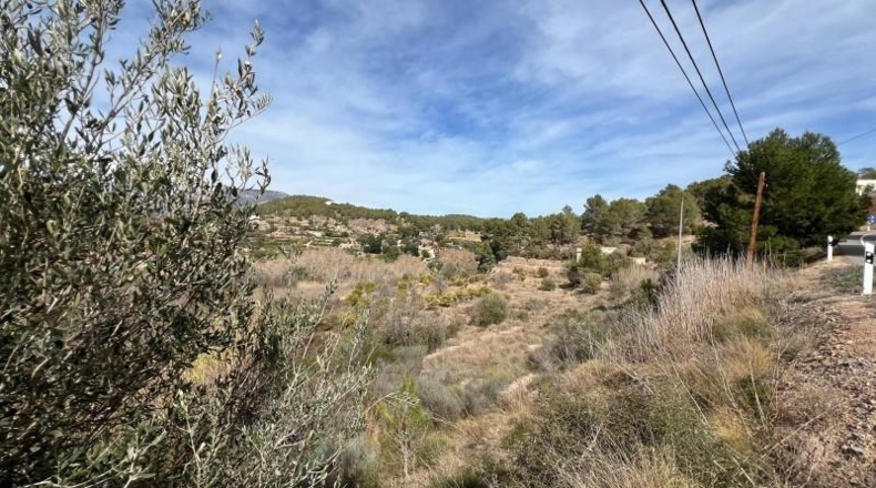 Alicante - la Nucia - 37000m2