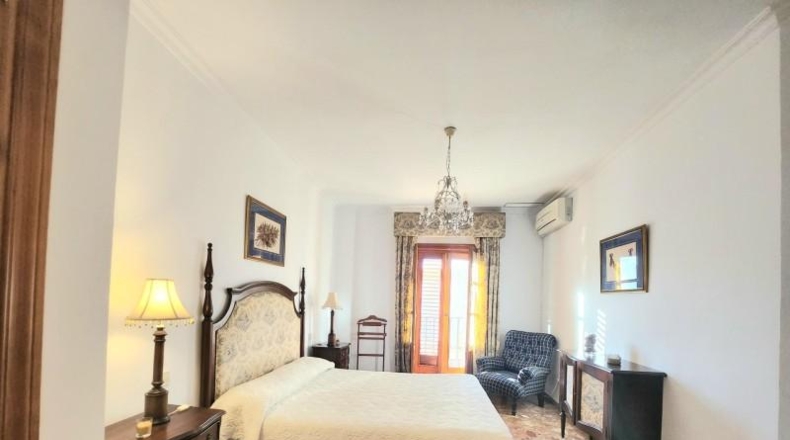 Sevilla - Alcalá de Guadaíra - 309m2
