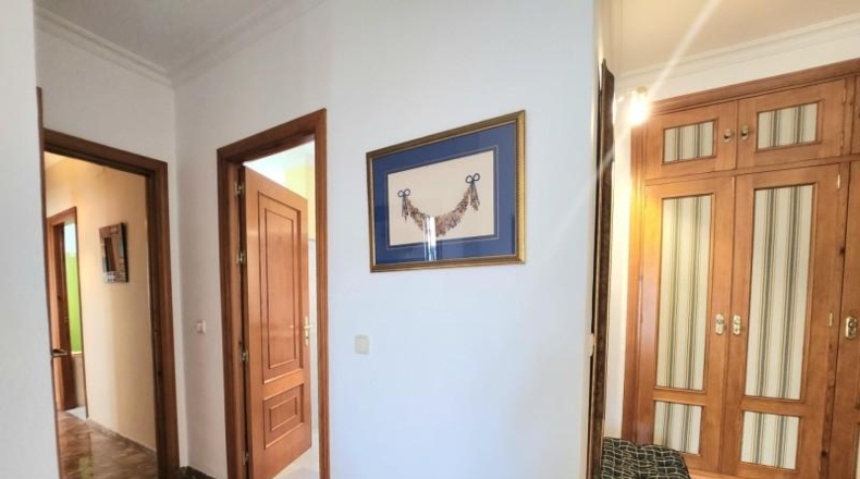 Sevilla - Alcalá de Guadaíra - 309m2