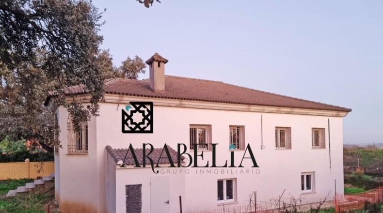 Córdoba - Córdoba - 3836m2