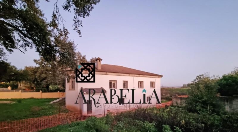 Córdoba - Córdoba - 3836m2