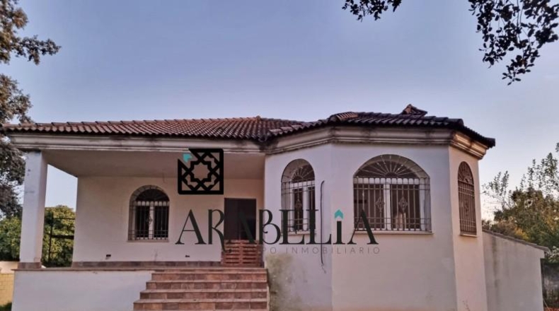 Córdoba - Córdoba - 3836m2