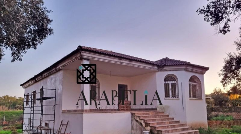 Córdoba - Córdoba - 3836m2