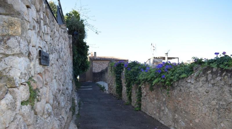 Balearic Islands - Bunyola - 684m2