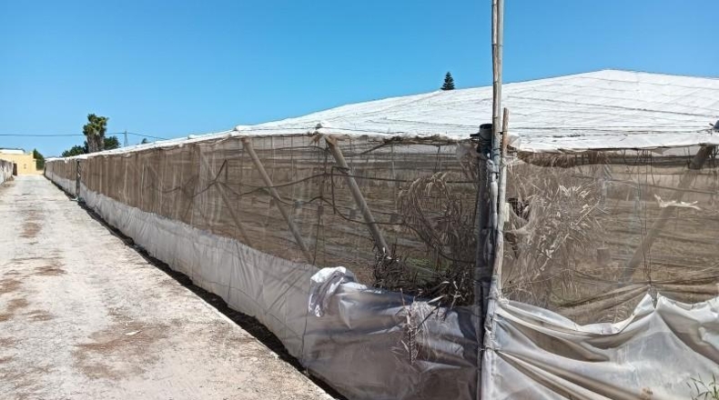 Cádiz - Sanlúcar de Barrameda - 10100m2