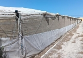 Xalet independent amb terreny en venda a la España, Sanlúcar de Barrameda, ref.: TR151495 foto