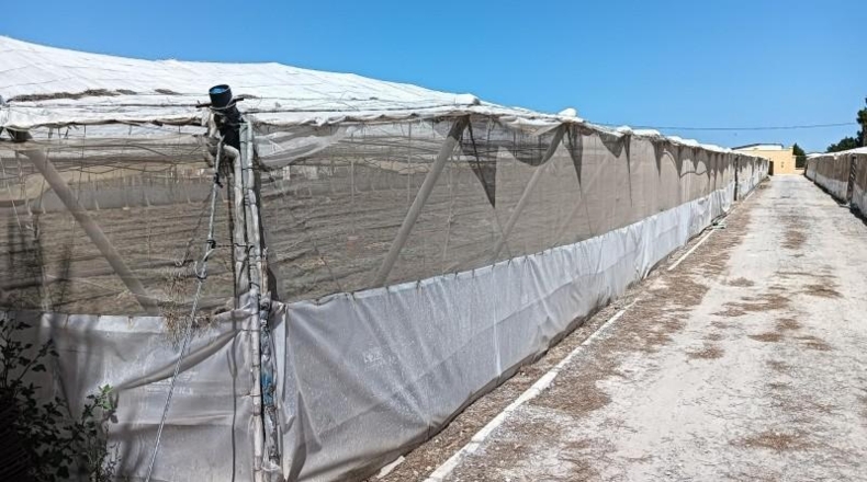 Cádiz - Sanlúcar de Barrameda - 10100m2
