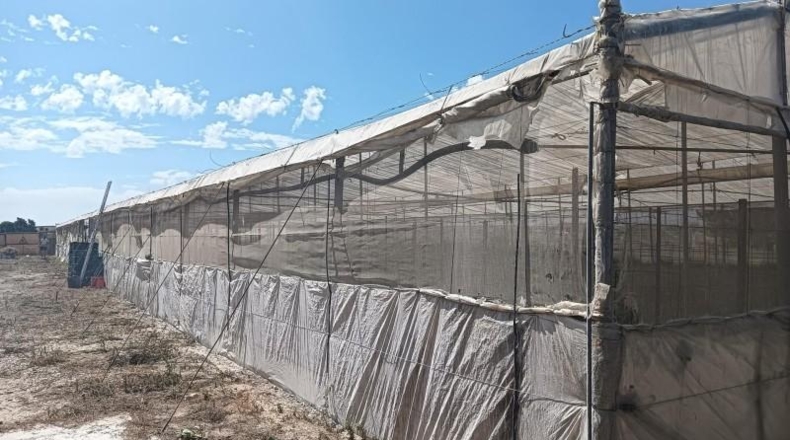 Cádiz - Sanlúcar de Barrameda - 10100m2