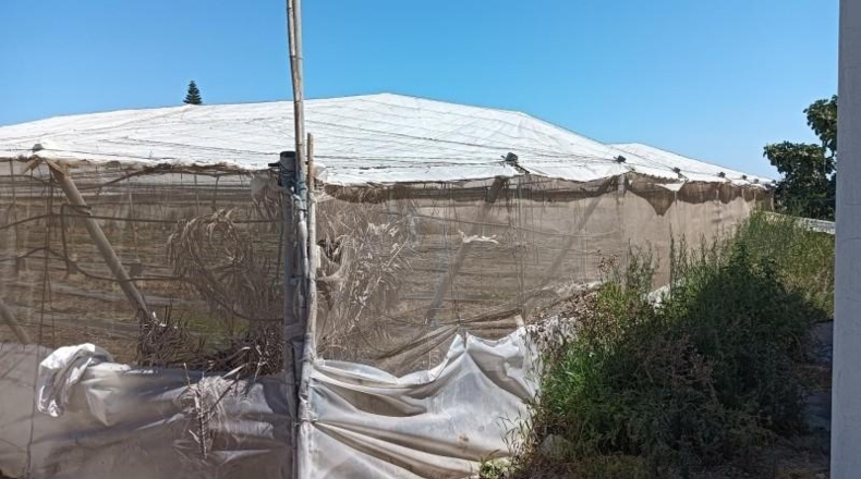 Cádiz - Sanlúcar de Barrameda - 10100m2