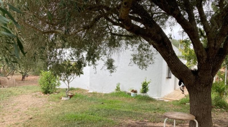 Cádiz - Vejer de la Frontera - 6210m2