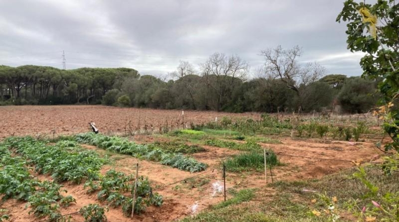Cádiz - Vejer de la Frontera - 6210m2