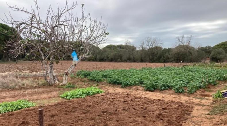 Cádiz - Vejer de la Frontera - 6210m2