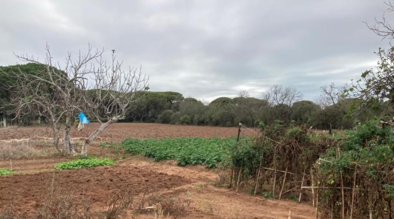 Cádiz - Vejer de la Frontera - 6210m2