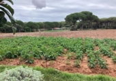 Casa de camp amb terreny en venda a la España, Vejer de la Frontera, ref.: TR151764 foto