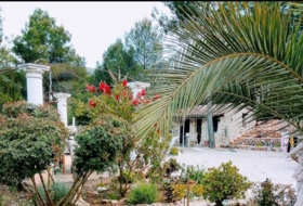 Foto 12