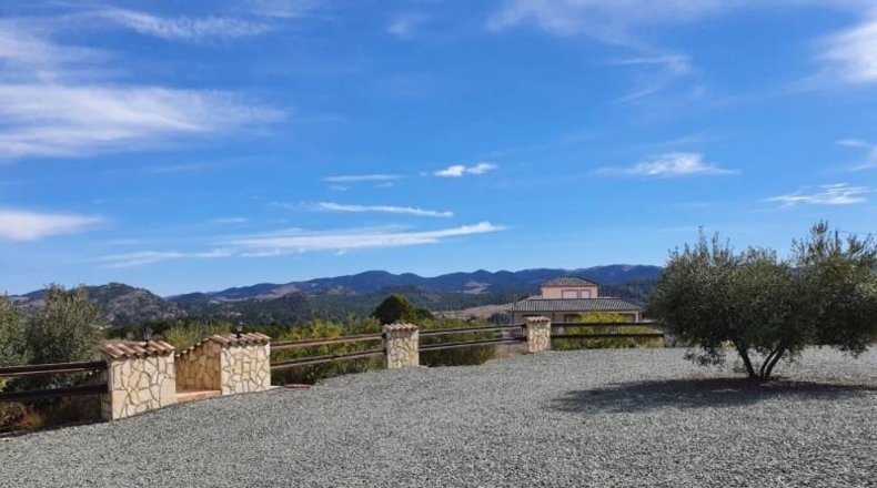 Murcia - Lorca - 20000m2