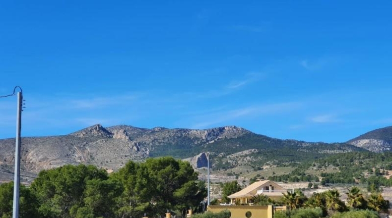 Murcia - Lorca - 20000m2