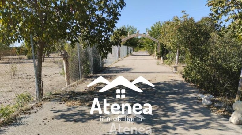 Albacete - Albacete - 100000m2