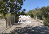 Casa amb terreny en venda a la España, Albacete, ref.: TR299618 foto