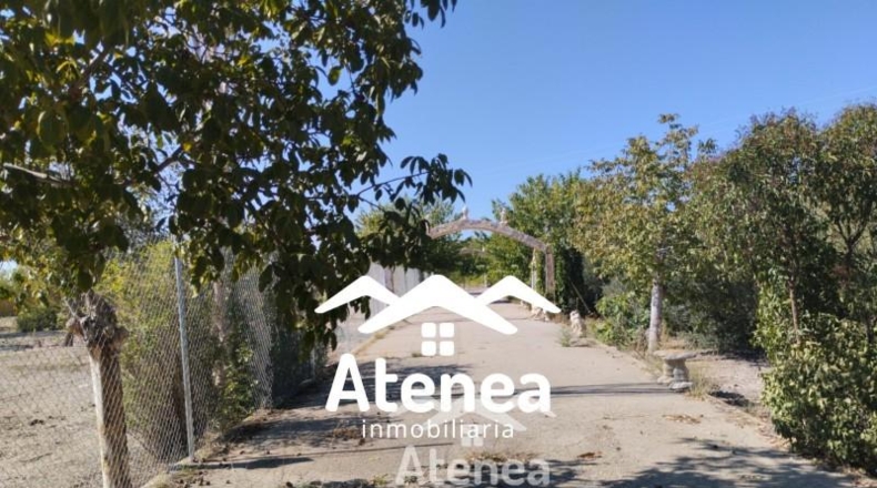 Albacete - Albacete - 100000m2