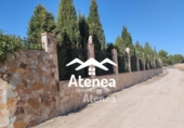 Casa amb terreny en venda a la España, Albacete, ref.: TR299618 foto
