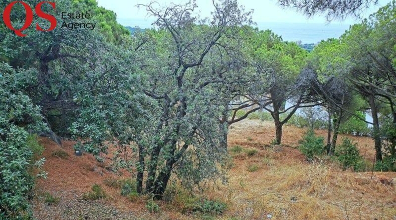 Gerona - Platja d'Aro - 1200m2