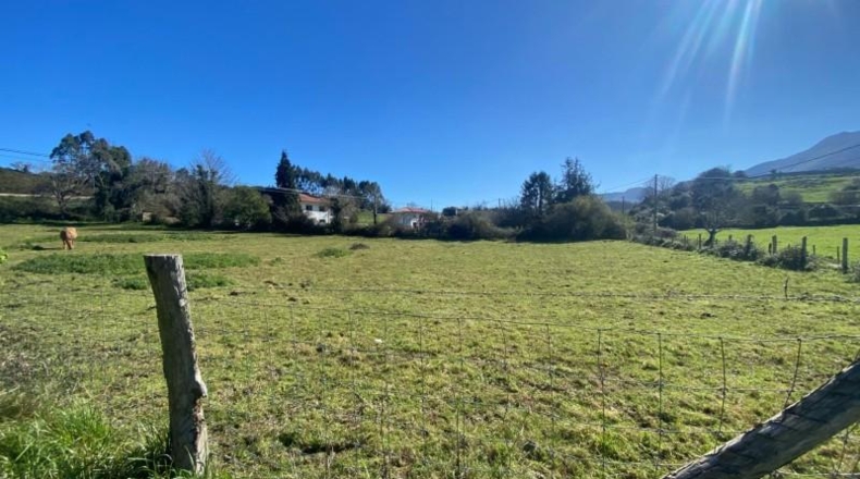 Asturias - Ribadesella - 98087m2