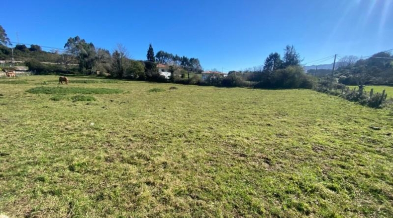 Asturias - Ribadesella - 98087m2