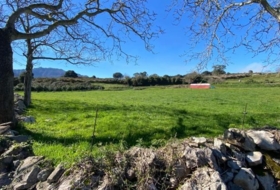 Ribadesella 98087&nbsp;m² 