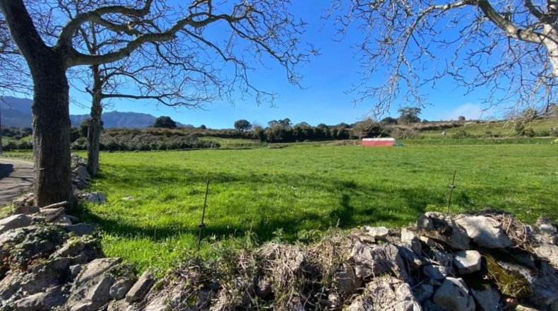 Asturias - Ribadesella - 98087m2