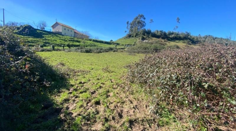 Asturias - Ribadesella - 98087m2