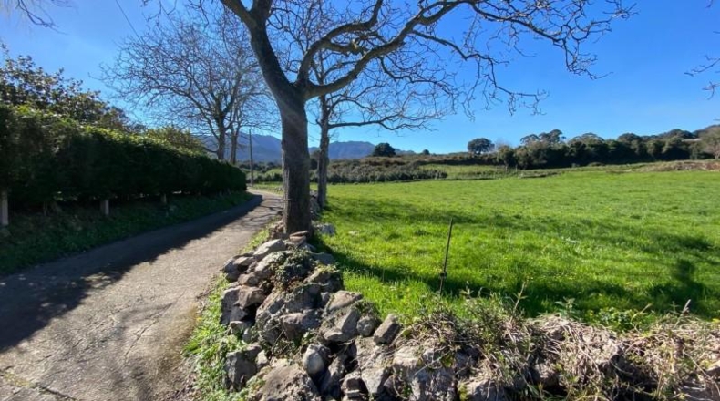 Asturias - Ribadesella - 98087m2