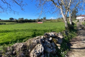 Ribadesella 98087&nbsp;m² 