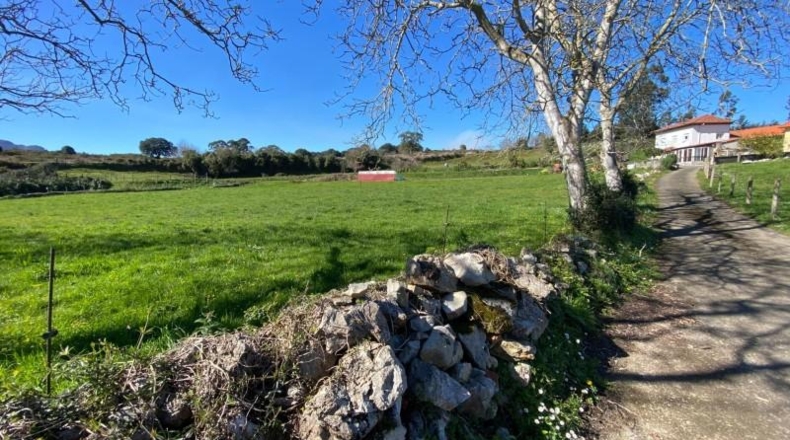 Asturias - Ribadesella - 98087m2
