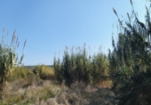 Terreny no urbanitzable en venda a la España, Múrcia, ref.: TR328545 foto