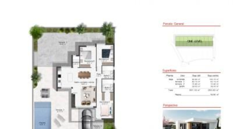 Murcia - Murcia - 300m2