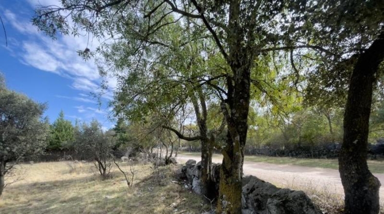 Comunidad de Madrid - Galapagar - 3370m2