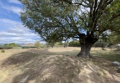 Parcel·la urbanitzable en venda a la España, Galapagar, ref.: TR176712 foto