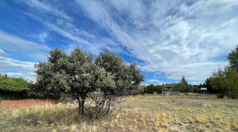 Comunidad de Madrid - Galapagar - 3370m2