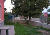 Casa de camp amb terreny en venda a la España, Elx, ref.: TR139578 foto