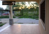 Casa de camp amb terreny en venda a la España, Elx, ref.: TR139578 foto