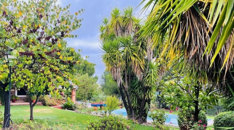 Cáceres - Casar de Cáceres - 2813m2
