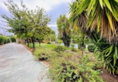 Chalet independiente con terreno en venta en la España, Casar de Cáceres, ref: TR353836 foto